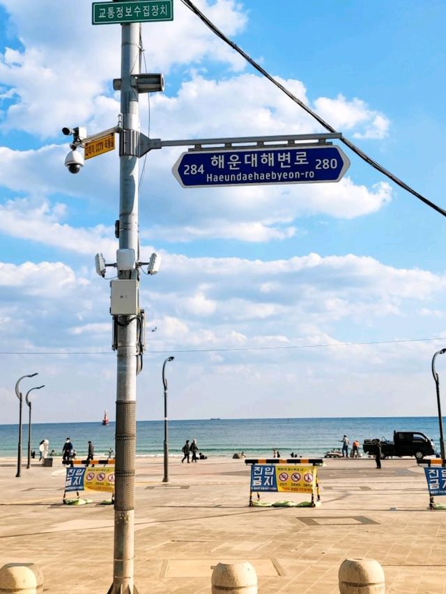 Silver buildings of Busan coolest beach! 