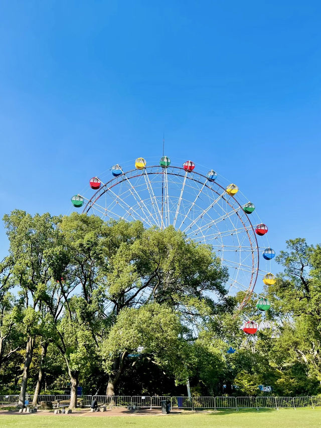 漫步自然——上海動物園的悠然探訪