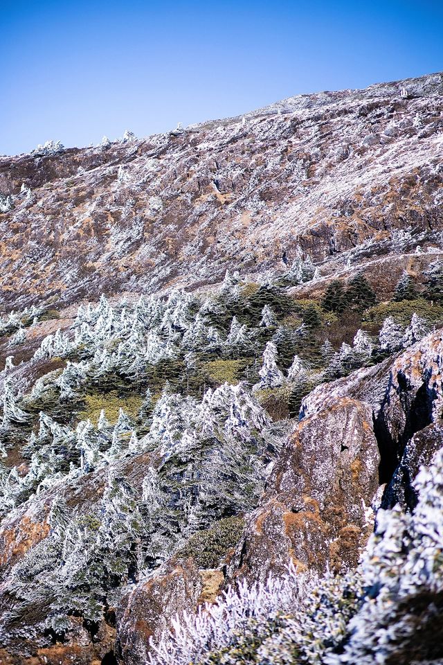 轎子雪山丨昆明人的冰雪小世界