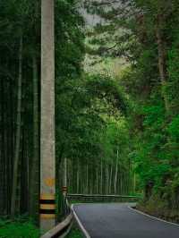 章里古道,太棒了!