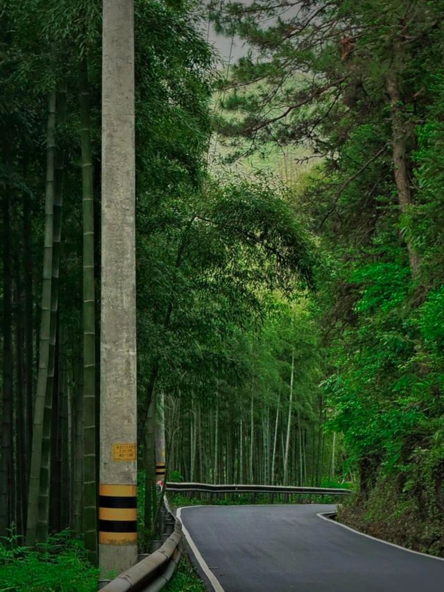 章里古道,太棒了!