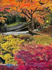 京都賞楓葉‖南禪寺旅遊打卡避坑攻略。