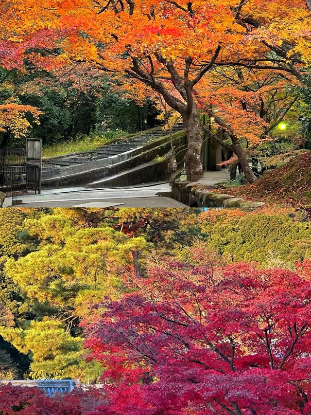 京都賞楓葉‖南禪寺旅遊打卡避坑攻略。