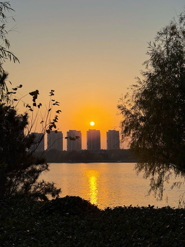 少海濕地公園！太適合周末遛娃啦