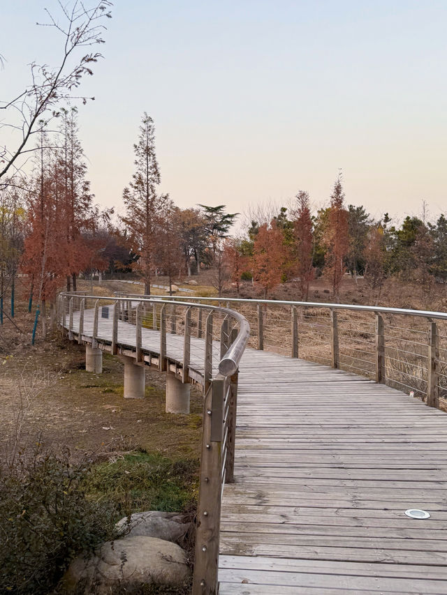 少海濕地公園！太適合周末遛娃啦