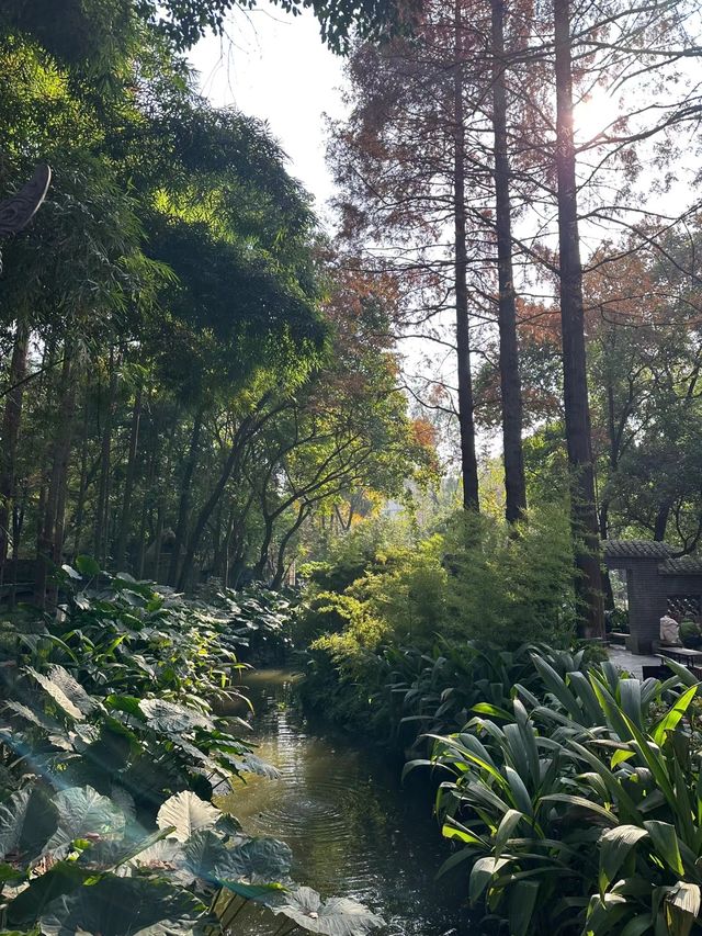 成都市人民公園｜綠意盎然的都市綠洲