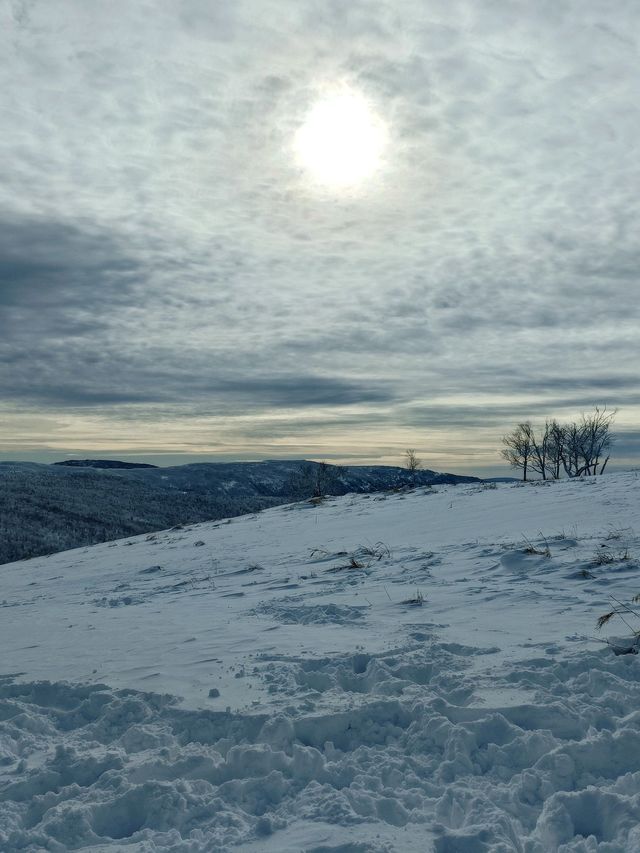 雪鄉等地新體驗：邊賞雪邊泡溫泉舒緩又愜意