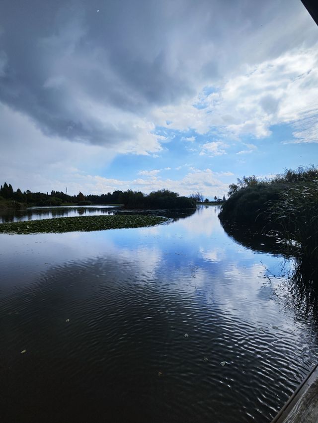 昆明市官渡區寶豐濕地公園，風光無限好