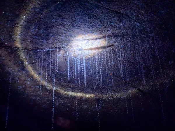 Discover the Magic of Spellbound Glowworm Caves