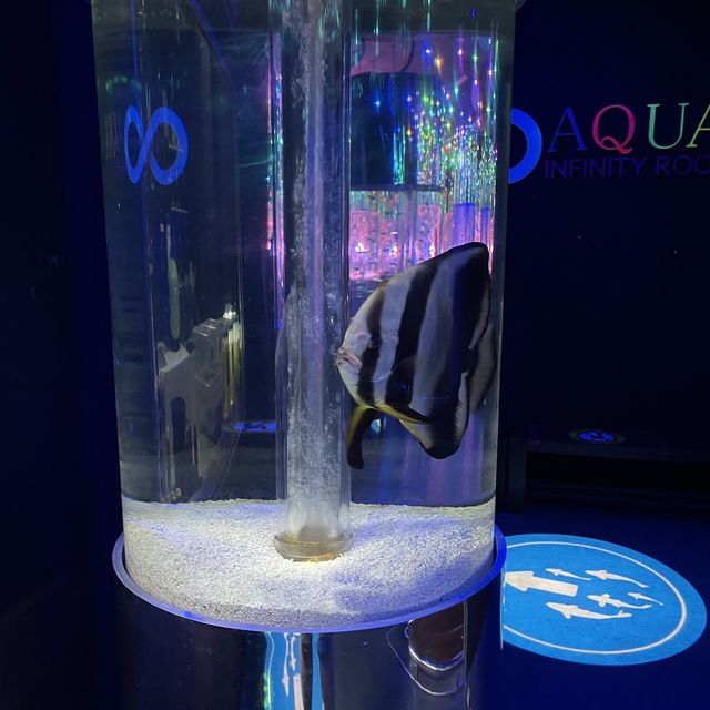 Great Oceanarium located in Shopping Mall 