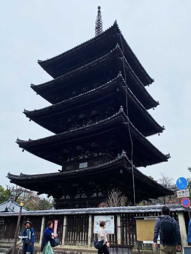 Priceless Stroll in the street of Japan