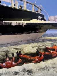 Ice breaker cruise in Finnish Lapland 