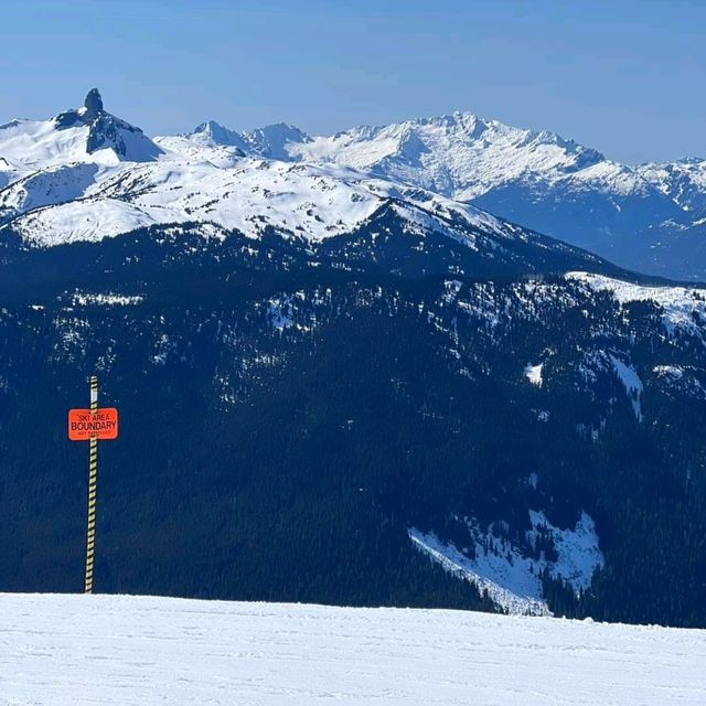 北美Whistler滑雪勝地，專業完勝亞洲區