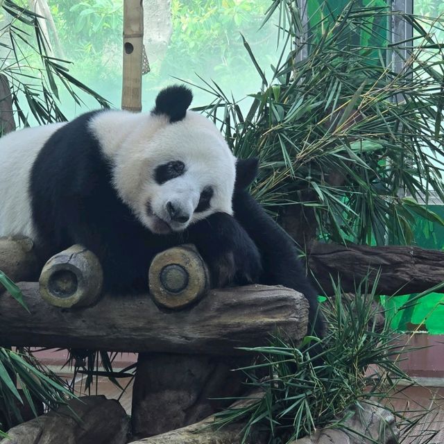 廣州動物園