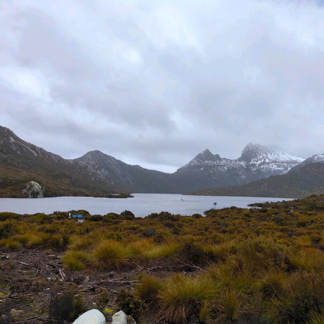 Tasmania Cradle mountain 