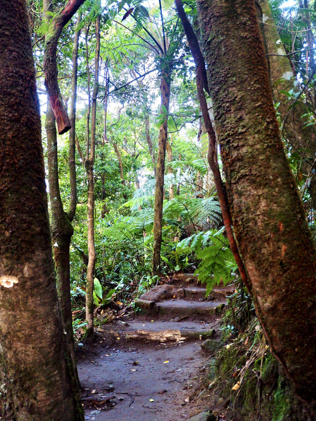 Take A Look At Mt. Patuha ⛰️✨