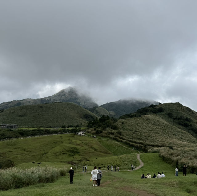 陽明山上最著名的當然是擎天崗大草原⛰️