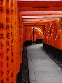 Day spent at a beautiful place Fushimi Inari Taisha🫶