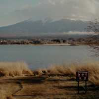 Tranquility at the Foot of Mount Fuji