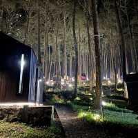 Sleep Amongst Serene Forest in Bandung