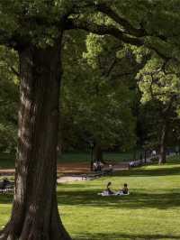 Central Park: The Green Heart of New York City