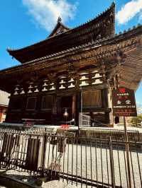 Toji Temple: A Must-Visit Spiritual Landmark in Japan