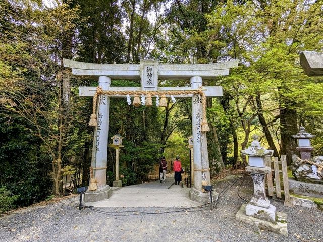 九州武雄神社：賞櫻花、看神木的人氣No.1免費景點