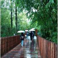 Panda Valley @ Dujiangyan