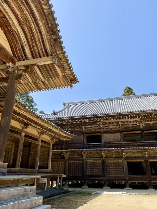 【兵庫旅行】姫路／映画ラストサムライのロケ地に使われた仏教寺院