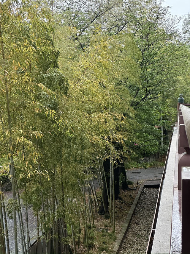 Discover Serenity at Zojoji Temple in Tokyo