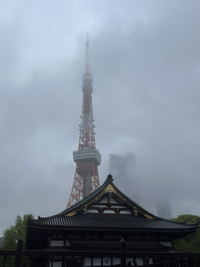 Iconic Views from Tokyo Tower: A Must-See Landmark