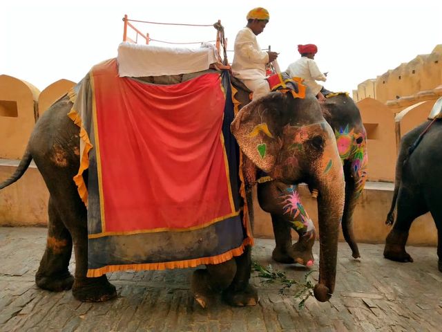 India Jaipur Amber Fort | Shocking!!!