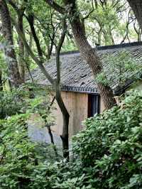 上海一日徒步丨佘山森林公園吸氧去班味