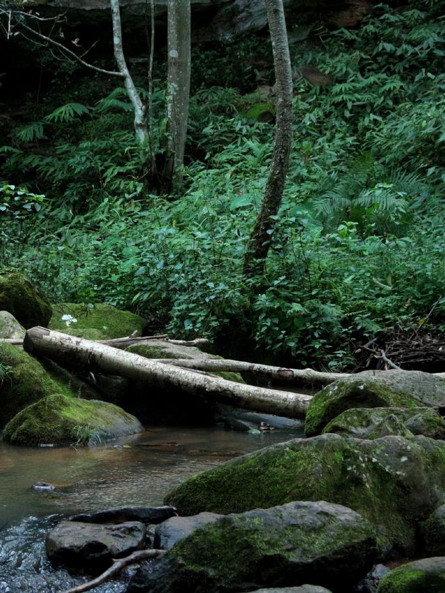 行山綠野仙蹤——禄劝桂花渡水庫。