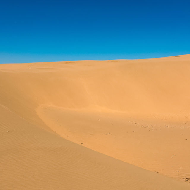 A Unique Desert Experience in Inner Mongolia