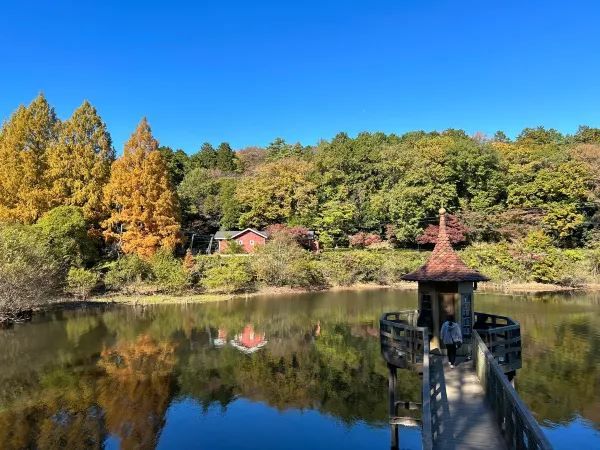 Moomin Valley Park: A Fairy Tale Town in Autumn