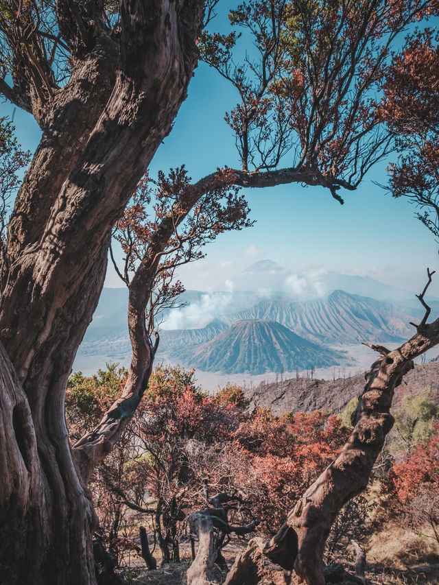 探索神秘的馬朗市 | 爪哇島的自然與文化雙重體驗