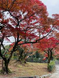 日本·京都