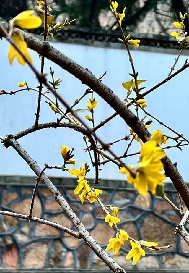 北京香山公園 香山寺