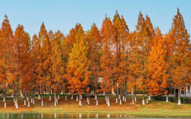 長沙·長沙園林生態園：城市綠洲