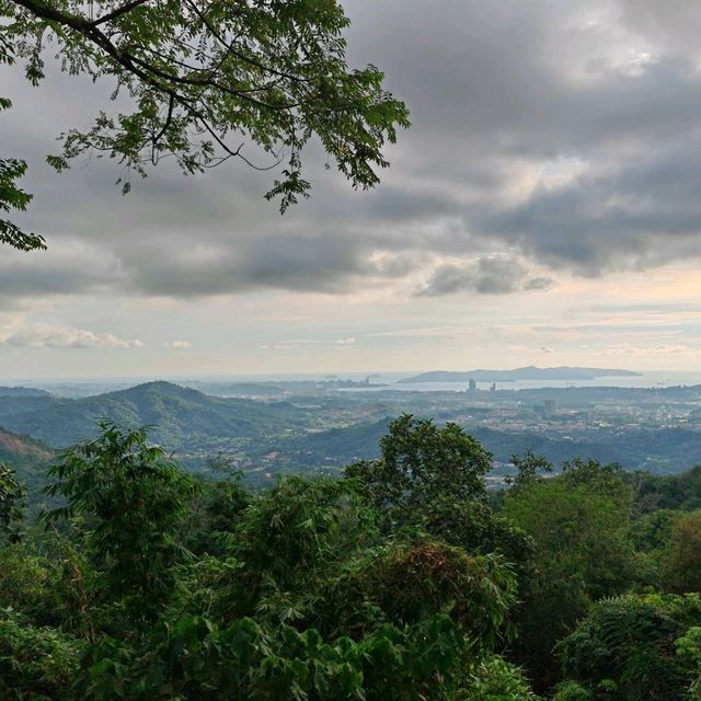 Kokol Hill Elf in Sabah