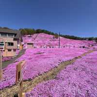 Rediscovering Japan : A Serene Escape to Hokkaido