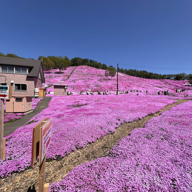 Rediscovering Japan : A Serene Escape to Hokkaido