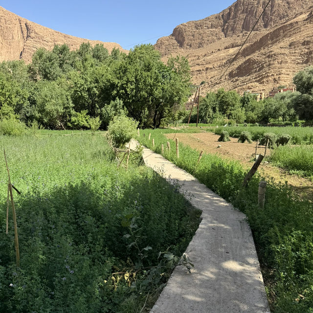 Oasis in the mountains 