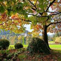 Lake bled is so beautiful in autumn 