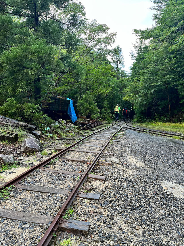 【屋久島】縄文杉🌲トレッキングツアー