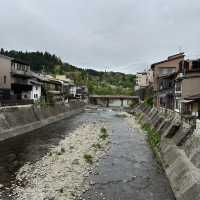 ทาคายาม่า(Takayama) 