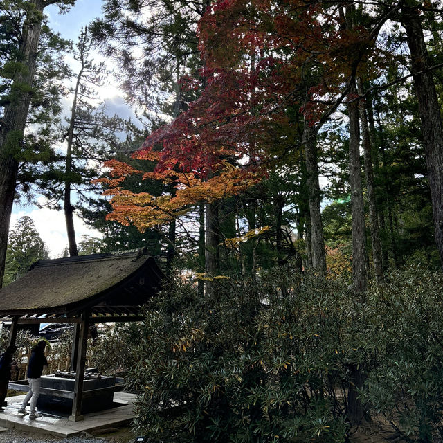 🇯🇵【和歌山】高野山真言宗　総本山金剛峯寺