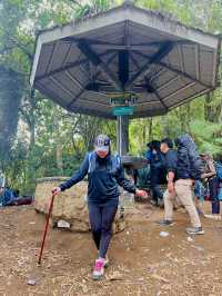 The Beautiful Mount Gede Pangrango🌋🇮🇩