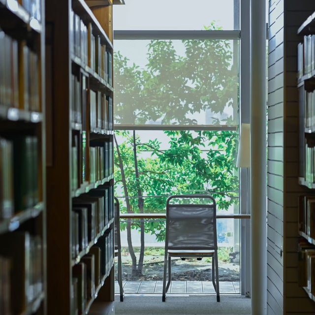 三田圖書館🌅簡約舒適的閱讀殿堂 📚🌿